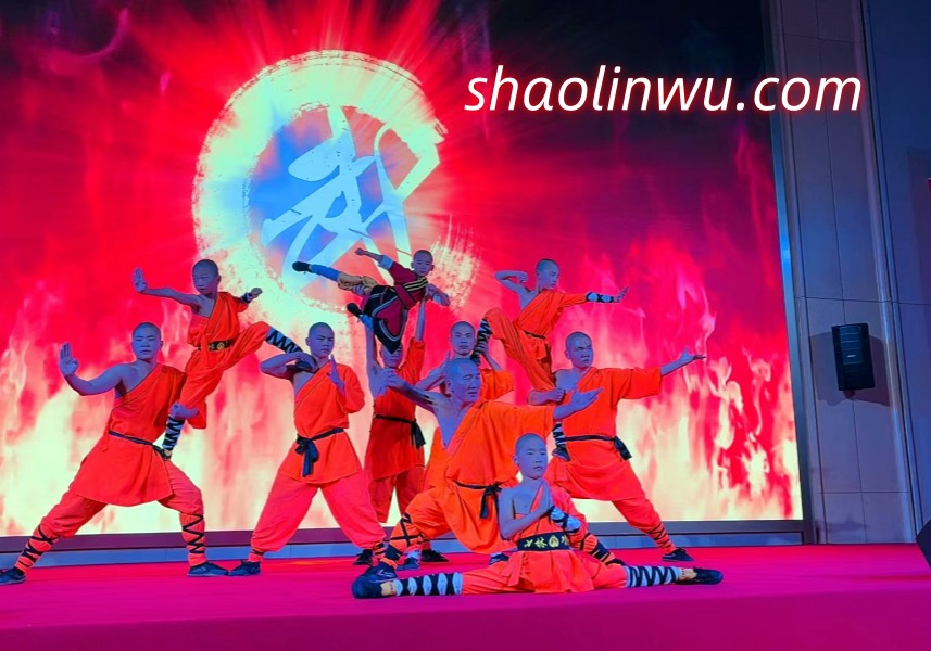 Shaolin Kung Fu Show